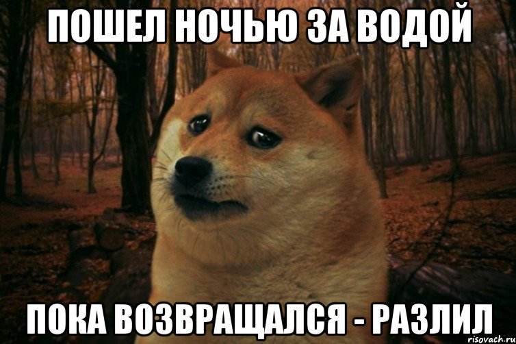 пошел ночью за водой пока возвращался - разлил, Мем SAD DOGE