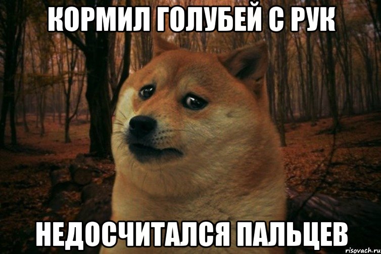 кормил голубей с рук недосчитался пальцев, Мем SAD DOGE