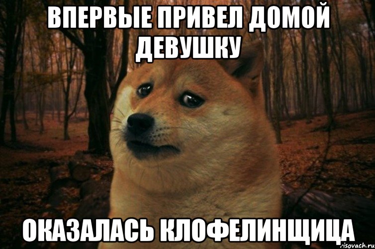 впервые привел домой девушку оказалась клофелинщица, Мем SAD DOGE