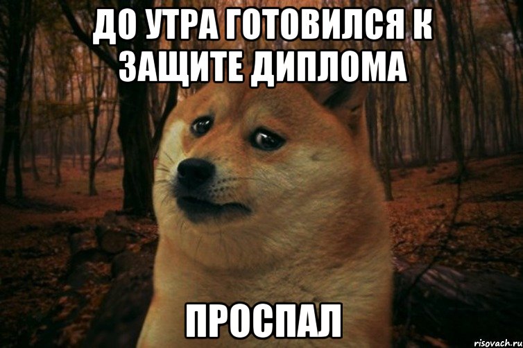 до утра готовился к защите диплома проспал, Мем SAD DOGE