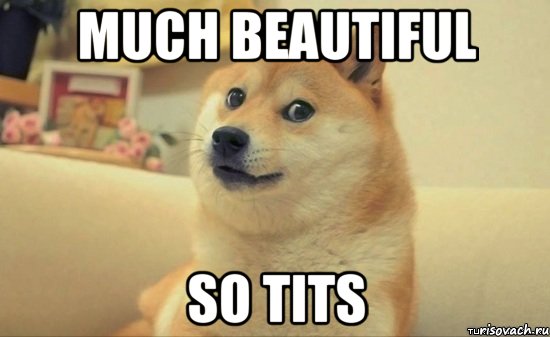 much beautiful so tits, Мем Доге