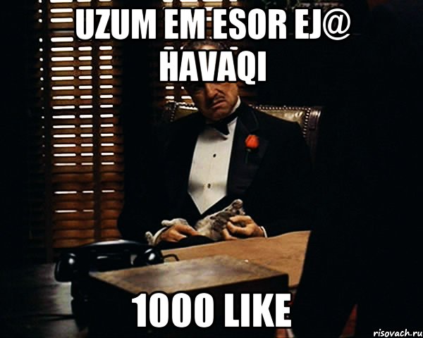 UZUM EM ESOR EJ@ HAVAQI 1000 LIKE, Мем Дон Вито Корлеоне