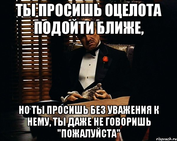 Ты просишь оцелота подойти ближе, Но ты просишь без уважения к нему, ты даже не говоришь "пожалуйста", Мем Дон Вито Корлеоне