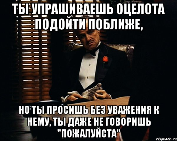 Ты упрашиваешь оцелота подойти поближе, Но ты просишь без уважения к нему, ты даже не говоришь "пожалуйста", Мем Дон Вито Корлеоне