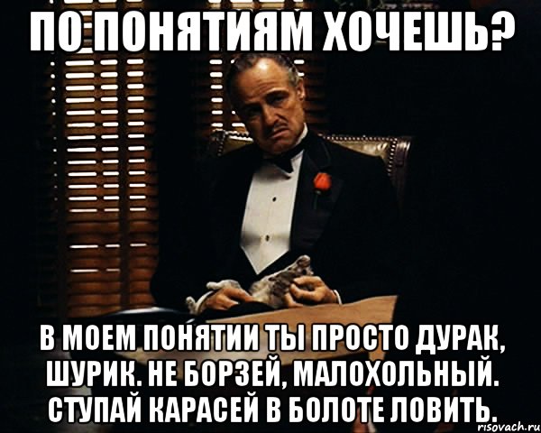 По понятиям хочешь? В моем понятии ты просто дурак, шурик. Не борзей, малохольный. Ступай карасей в болоте ловить., Мем Дон Вито Корлеоне