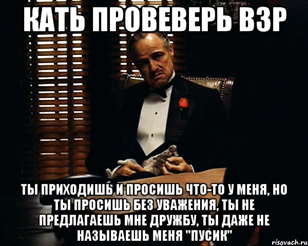 Кать провеверь ВЗР Ты приходишь и просишь что-то у меня, но ты просишь без уважения, ты не предлагаешь мне дружбу, ты даже не называешь меня "Пусик", Мем Дон Вито Корлеоне