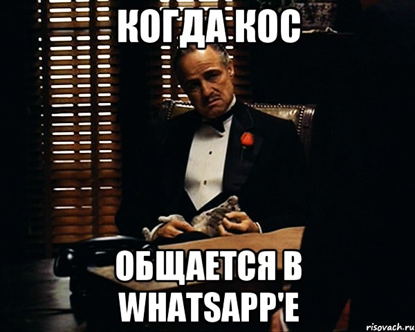 Когда кос Общается в whatsapp'e, Мем Дон Вито Корлеоне