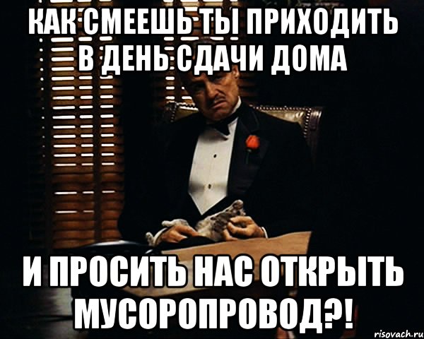 КАК смеешь ты приходить в день сдачи дома и просить нас открыть мусоропровод?!, Мем Дон Вито Корлеоне