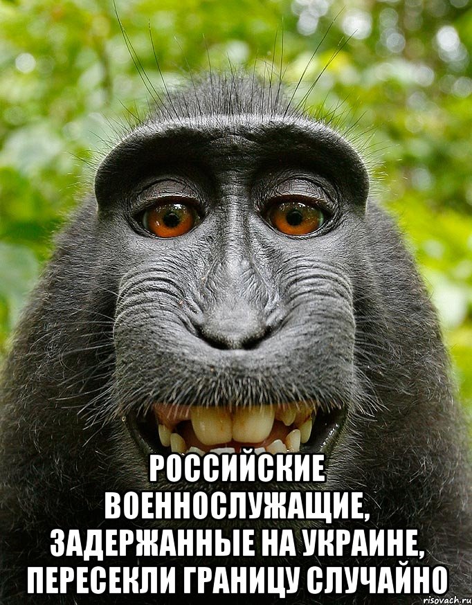  Российские военнослужащие, задержанные на Украине, пересекли границу случайно, Мем  Довольная обезьяна