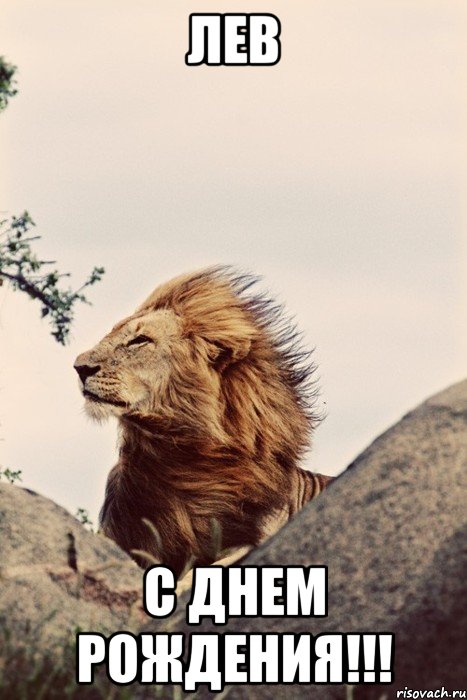 ЛЕВ С ДНЕМ РОЖДЕНИЯ!!!