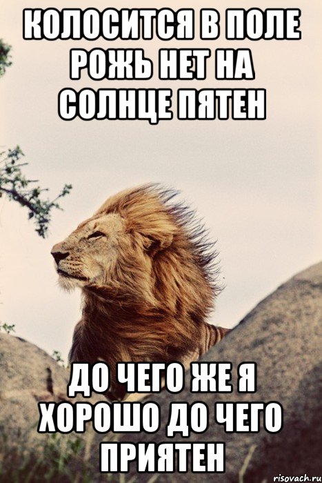 колосится в поле рожь нет на солнце пятен до чего же я хорошо до чего приятен