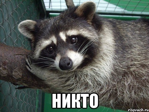  никто