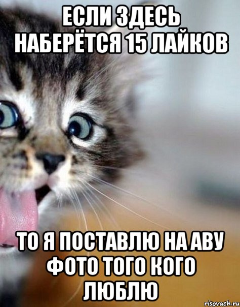 Если здесь наберётся 15 лайков То я поставлю на аву фото того кого люблю
