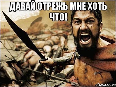 давай отрежь мне хоть что! , Мем Это Спарта