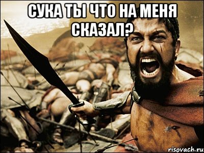 СУКА ТЫ ЧТО НА МЕНЯ СКАЗАЛ? , Мем Это Спарта