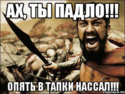 Ах, ты Падло!!! Опять в тапки нассал!!!, Мем Это Спарта