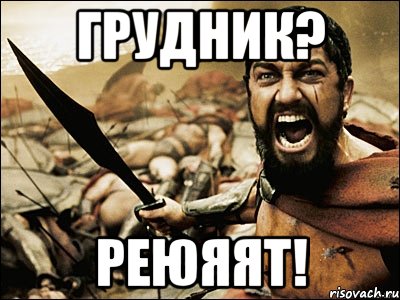 Грудник? Реюяят!, Мем Это Спарта