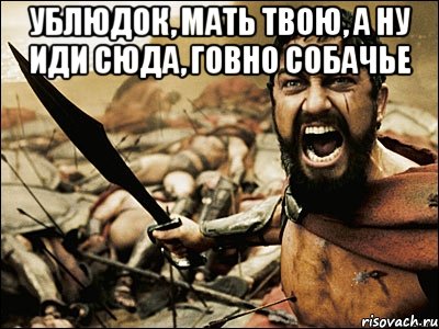 Ублюдок, мать твою, а ну иди сюда, говно собачье , Мем Это Спарта