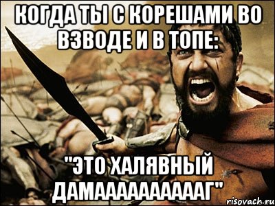 когда ты с корешами во взводе и в топе: "Это халявный ДАМААААААААААГ", Мем Это Спарта