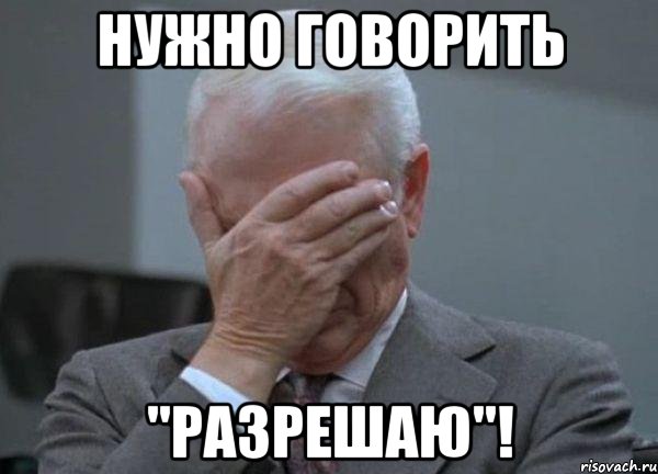 НУЖНО ГОВОРИТЬ "РАЗРЕШАЮ"!, Мем facepalm