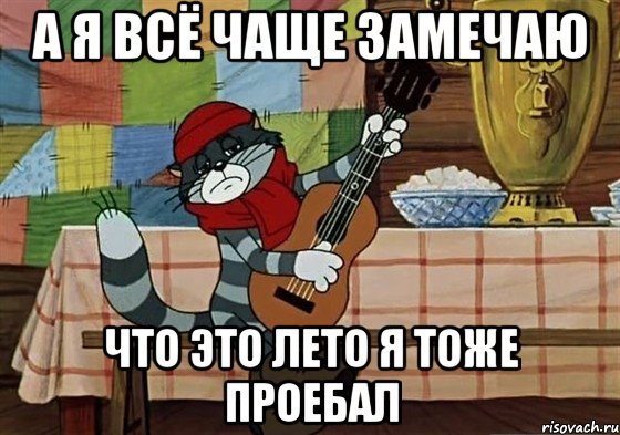 А я всё чаще замечаю Что это лето я тоже проебал, Мем Грустный Матроскин с гитарой