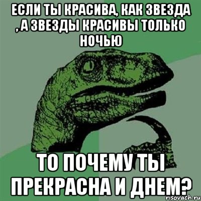 Если ты красива, как звезда , а звезды красивы только ночью То почему ты прекрасна и днем?, Мем Филосораптор