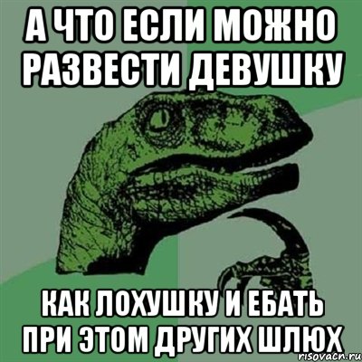 а что если можно развести девушку как лохушку и ебать при этом других шлюх, Мем Филосораптор