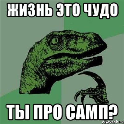 Жизнь это чудо Ты про самп?, Мем Филосораптор