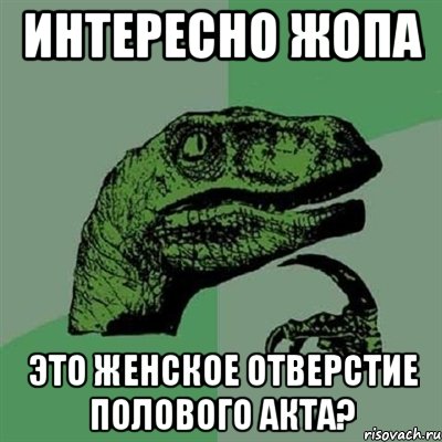 Интересно жопа Это женское отверстие полового акта?, Мем Филосораптор