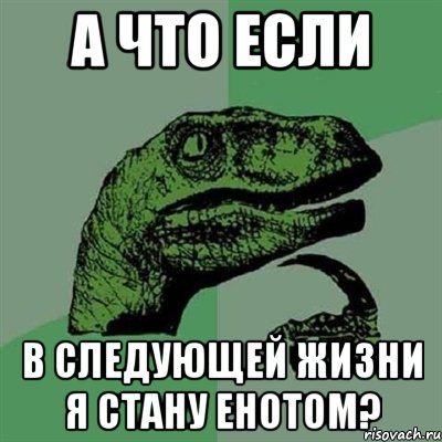 А что если В следующей жизни я стану енотом?, Мем Филосораптор