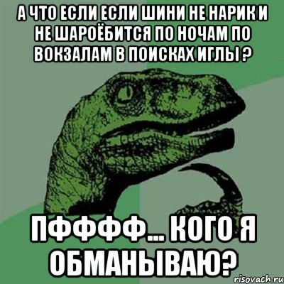 А ЧТО ЕСЛИ ЕСЛИ ШИНИ НЕ НАРИК И НЕ ШАРОЁБИТСЯ ПО НОЧАМ ПО ВОКЗАЛАМ В ПОИСКАХ ИГЛЫ ? ПФФФФ... КОГО Я ОБМАНЫВАЮ?, Мем Филосораптор