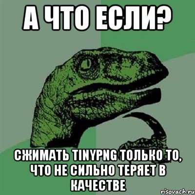 А что если? сжимать tinypng только то, что не сильно теряет в качестве, Мем Филосораптор