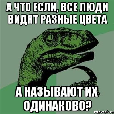 А что если, все люди видят разные цвета а называют их одинаково?, Мем Филосораптор