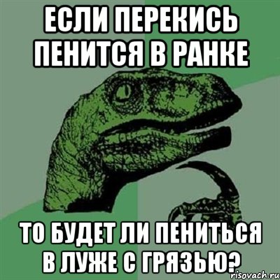 Если перекись пенится в ранке То будет ли пениться в луже с грязью?, Мем Филосораптор