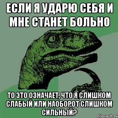 если я ударю себя и мне станет больно то это означает, что я слишком слабый или наоборот слишком сильный?, Мем Филосораптор