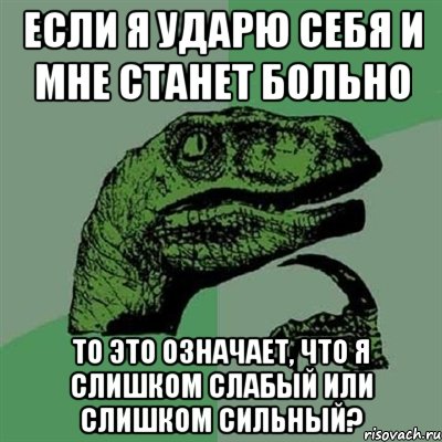 если я ударю себя и мне станет больно то это означает, что я слишком слабый или слишком сильный?, Мем Филосораптор