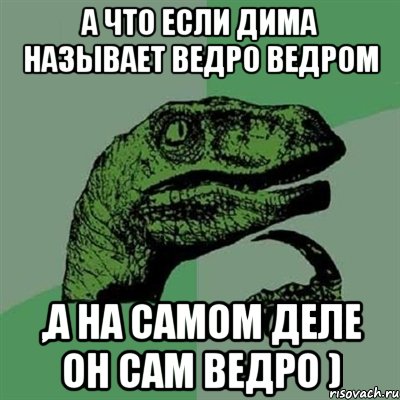 А что если дима называет ведро ведром ,а на самом деле он сам ведро ), Мем Филосораптор