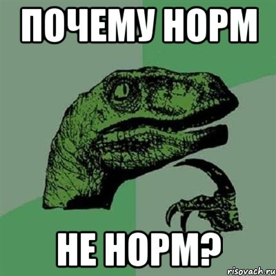 Почему Норм не норм?, Мем Филосораптор