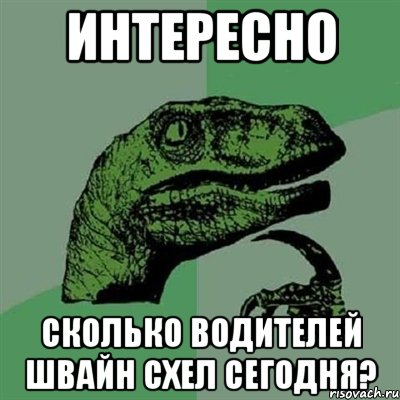 Интересно Сколько водителей швайн схел сегодня?, Мем Филосораптор