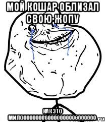 Мой кошар облизал свою ЖОПУ КАК ЭТО МИЛО000000000000000000000000, Мем Forever Alone