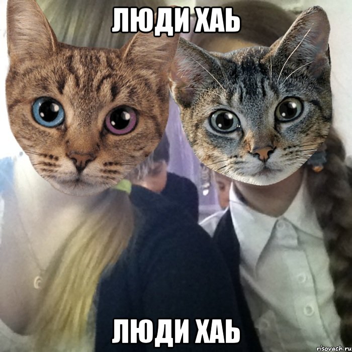 люди хаь люди хаь, Мем Фоткаться с Полиной бесценно