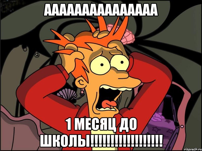 ааааааааааааааа 1 месяц до школы!!!!!!!!!!!!!!!!!!, Мем Фрай в панике