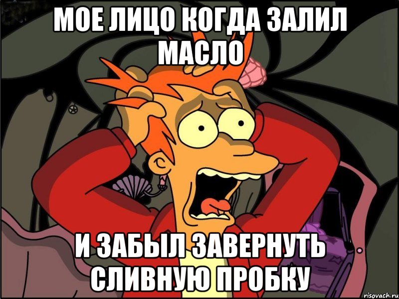 МОЕ ЛИЦО КОГДА ЗАЛИЛ МАСЛО И ЗАБЫЛ ЗАВЕРНУТЬ СЛИВНУЮ ПРОБКУ, Мем Фрай в панике