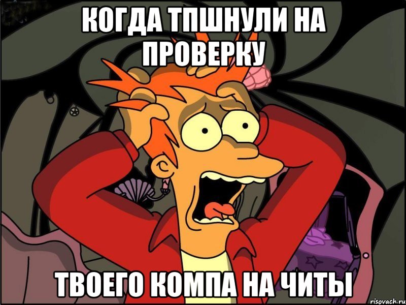 Когда тпшнули на проверку твоего компа на читы, Мем Фрай в панике