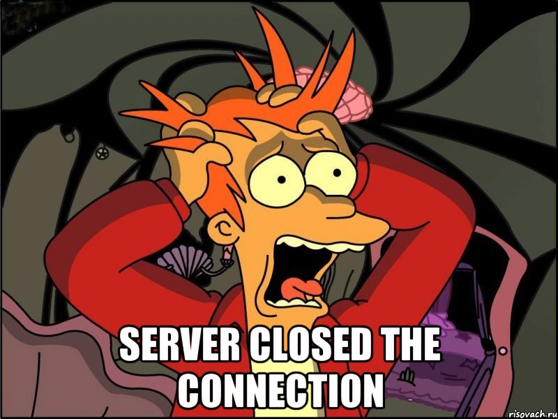  server closed the connection, Мем Фрай в панике
