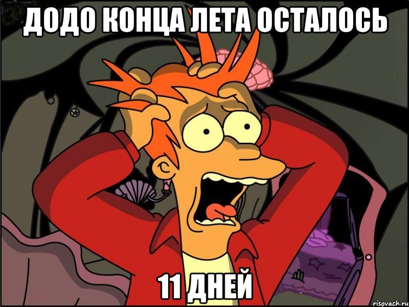 ДоДо конца лета осталось 11 дней, Мем Фрай в панике