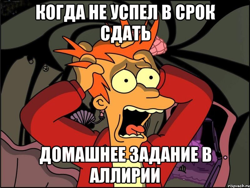 когда не успел в срок сдать домашнее задание в Аллирии, Мем Фрай в панике