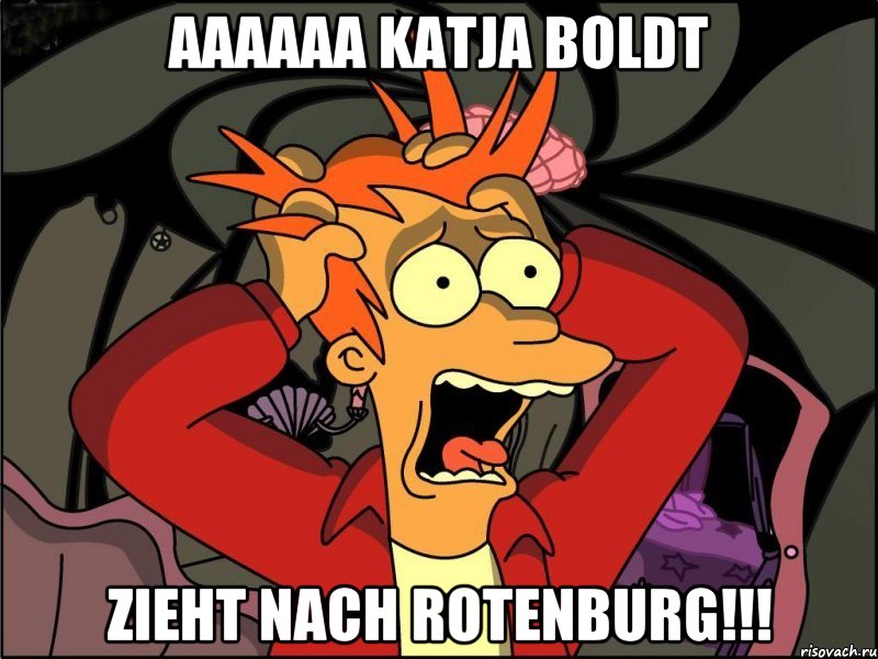 Aaaaaa Katja Boldt Zieht nach Rotenburg!!!, Мем Фрай в панике