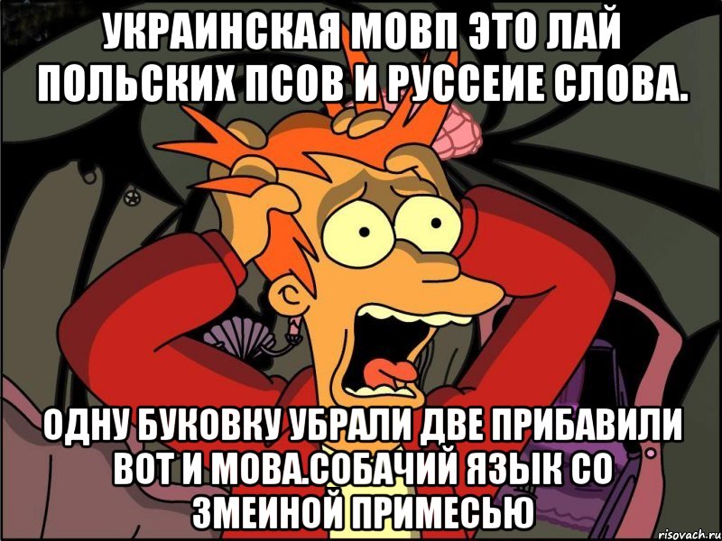 Украинская мовп это лай польских псов и руссеие слова. Одну буковку убрали две прибавили вот и мова.собачий язык со змеиной примесью, Мем Фрай в панике