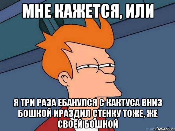 мне кажется, или я три раза ебанулся с кактуса вниз бошкой ираздил стенку тоже, же своей бошкой, Мем  Фрай (мне кажется или)